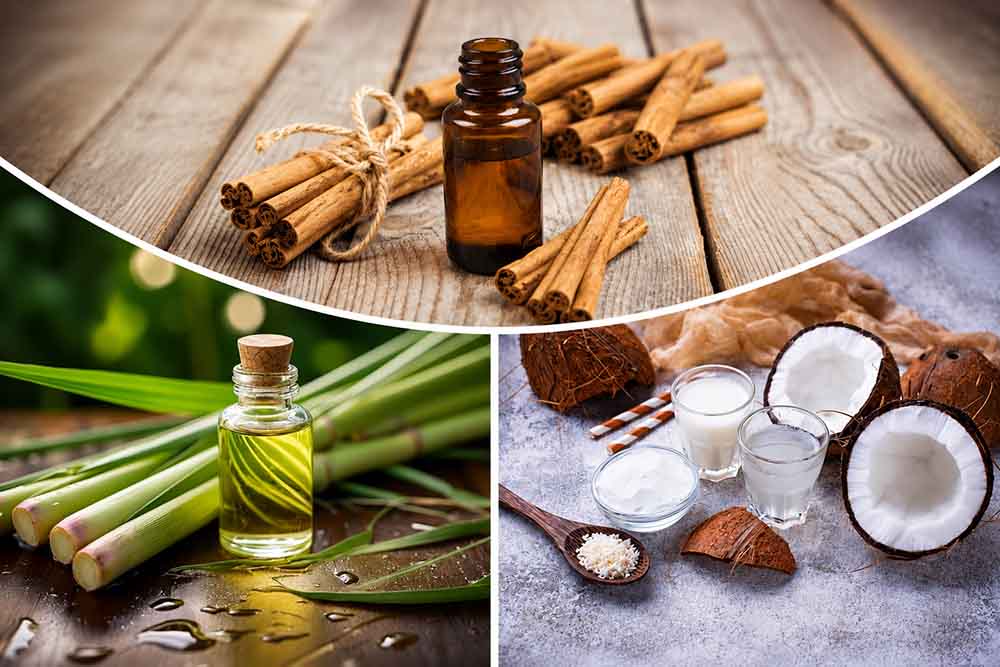 Food Ingredients Suppliers in Sri Lanka