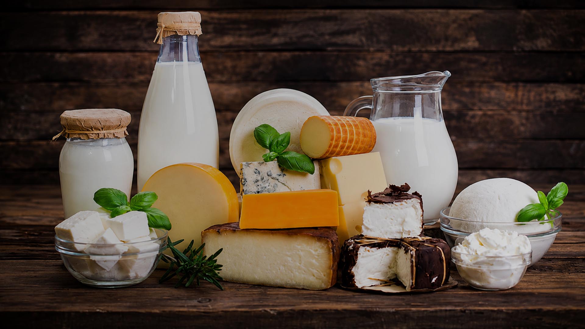 Food Ingredients Suppliers in Sri Lanka