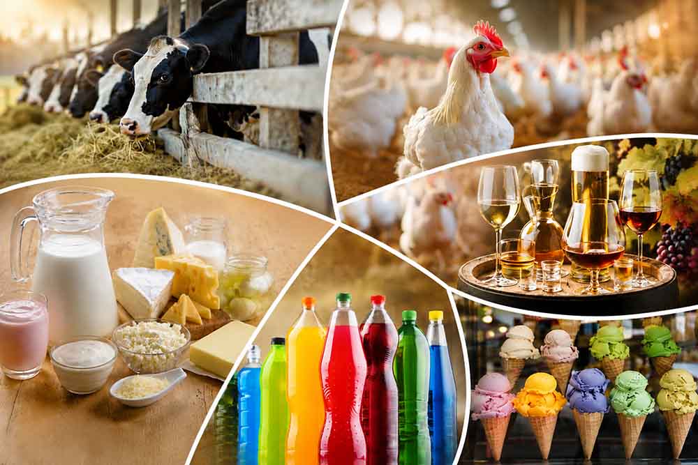 Food Ingredients Suppliers in Sri Lanka